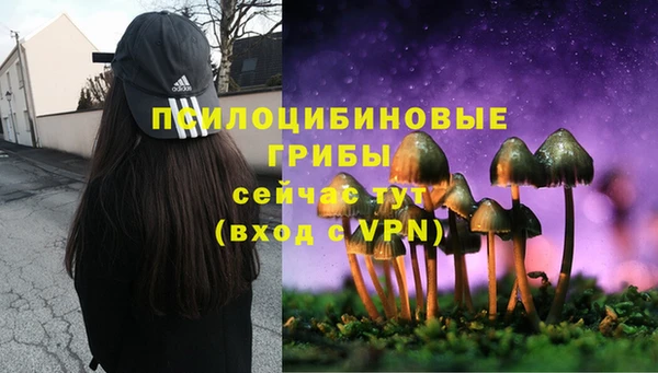 дживик Володарск