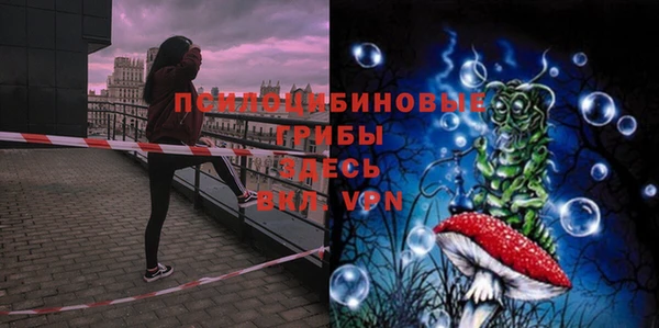 мдпв Тихвин