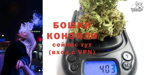 дживик Володарск